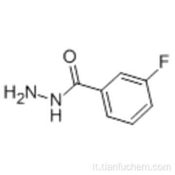 Acido benzoico, 3-fluoro-, idrazide CAS 499-55-8